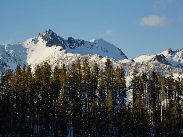 Big Sky Home 1000395