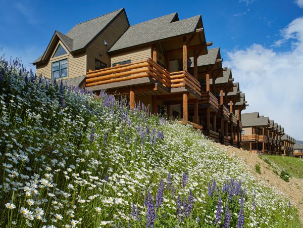 Big Sky Home 1000395