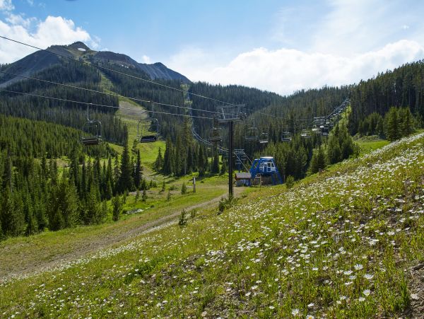 Big Sky Home 1000395