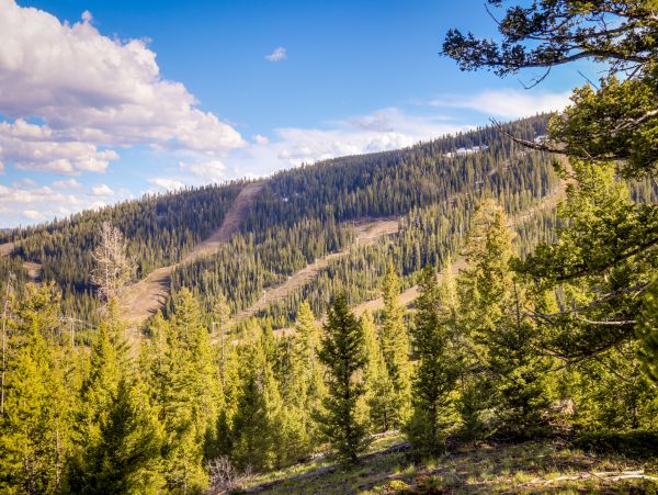 Big Sky Home 1000400