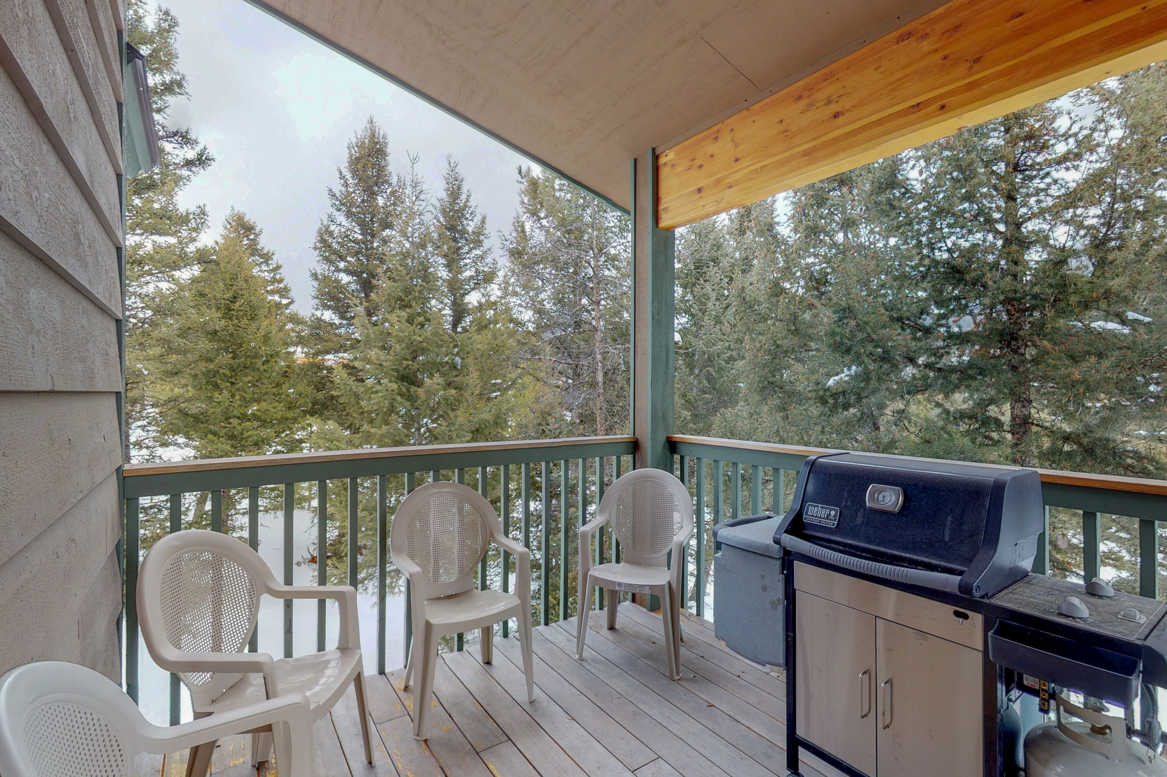 Big Sky Home 1000415