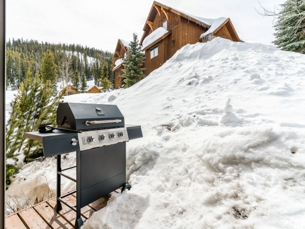 Big Sky Home 1000426