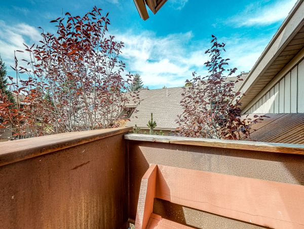 Big Sky Home 1000427