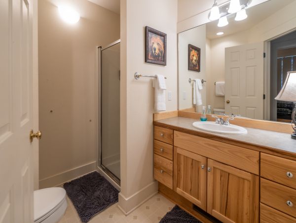 Big Sky Home 1000428
