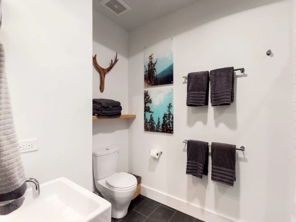 Big Sky Home 1000429
