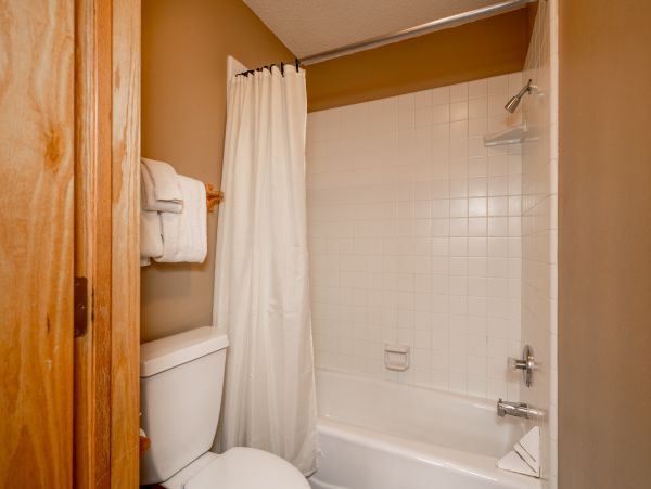 Big Sky Home 1000438