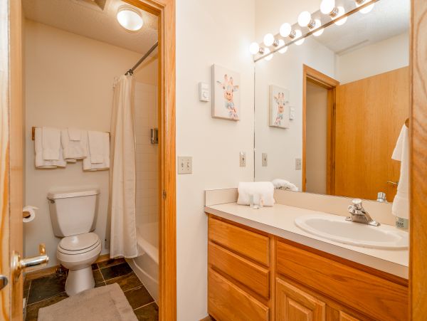 Big Sky Home 1000438