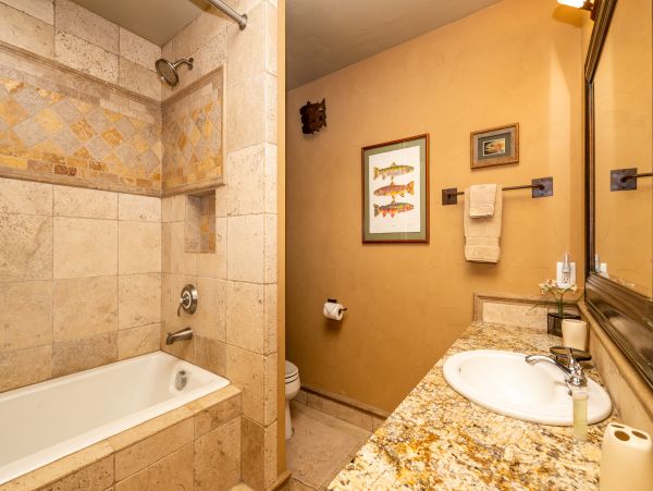 Big Sky Home 1000439