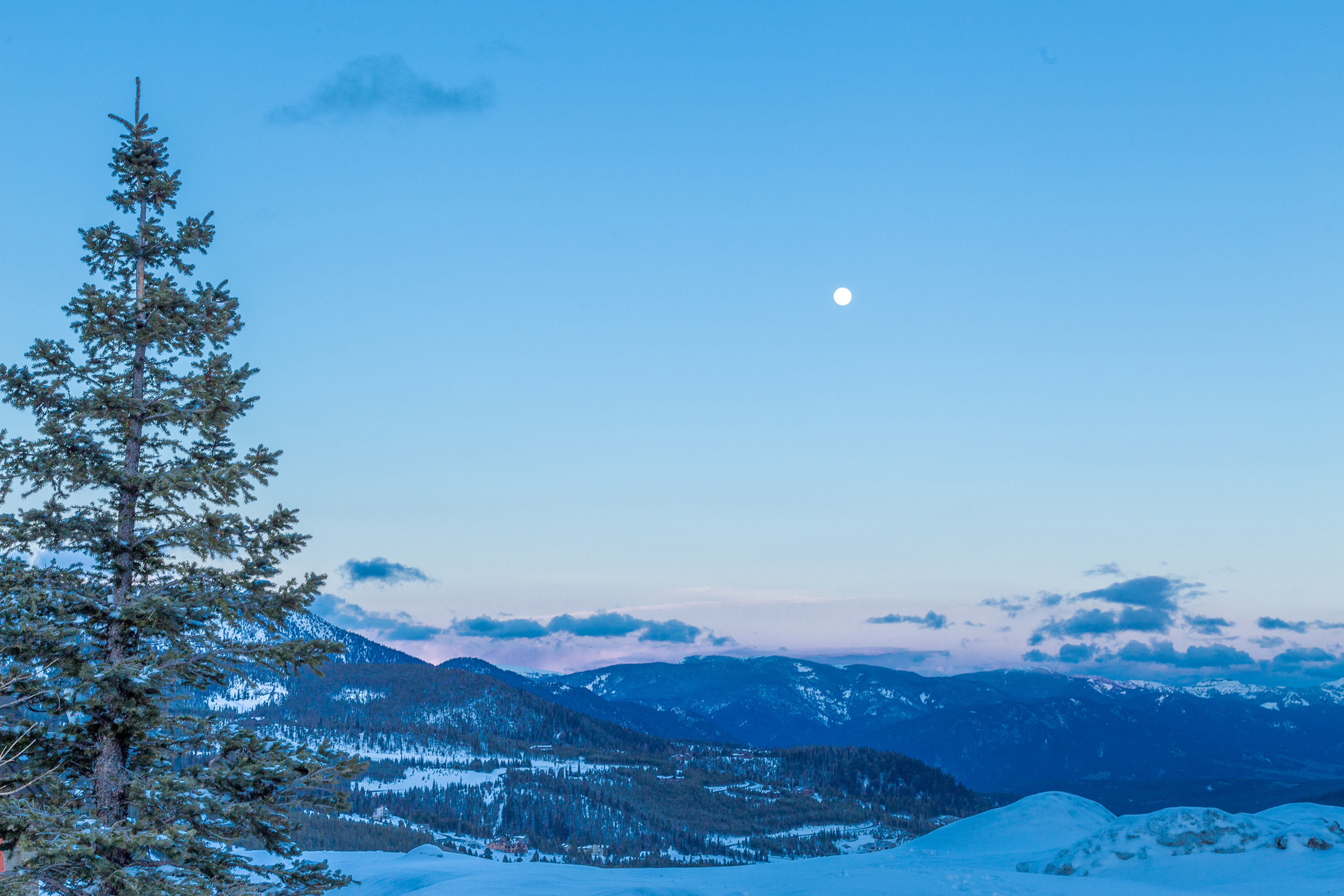 Big Sky Home 1000445