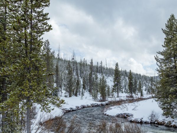 Big Sky Home 1000445