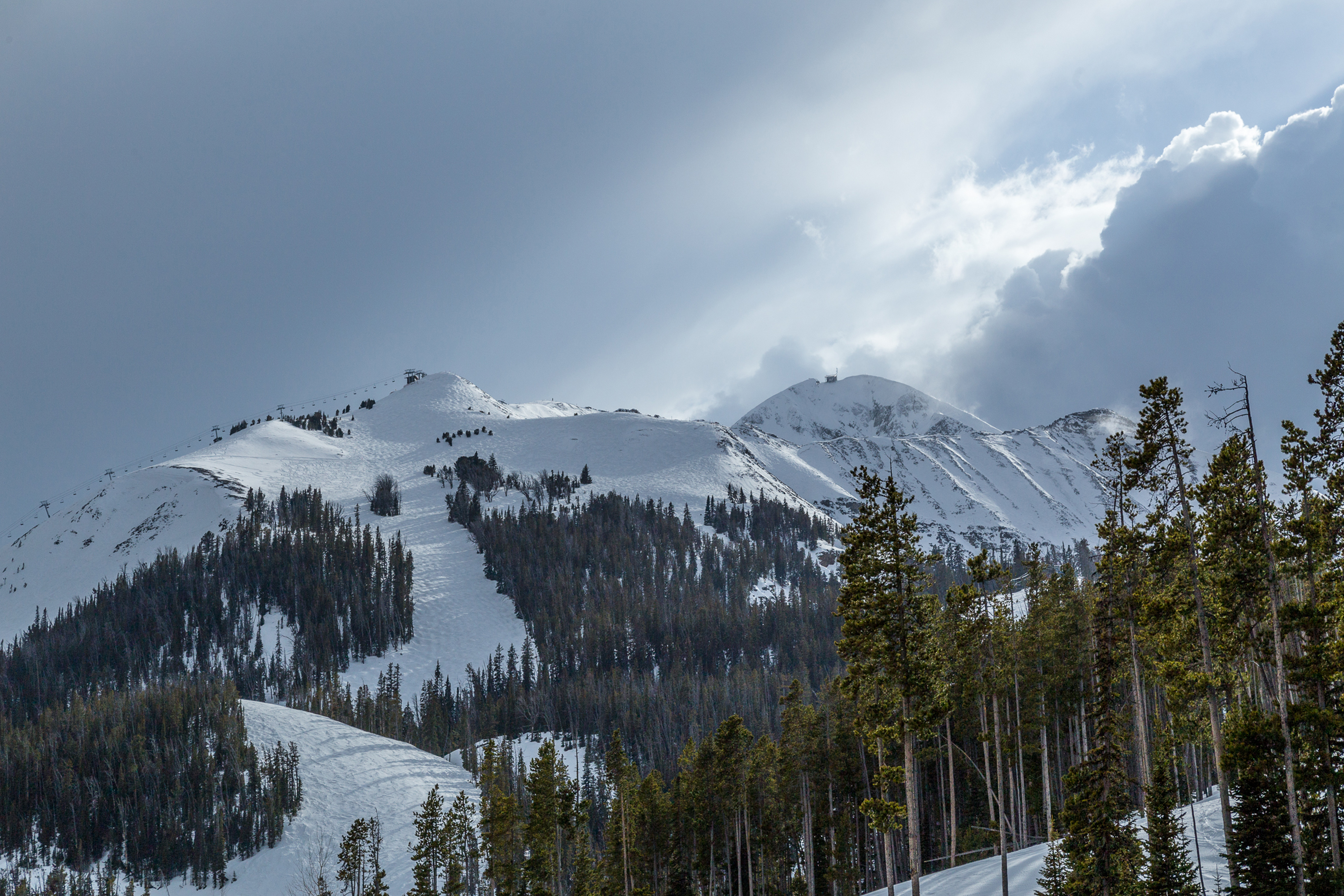 Big Sky Home 1000445