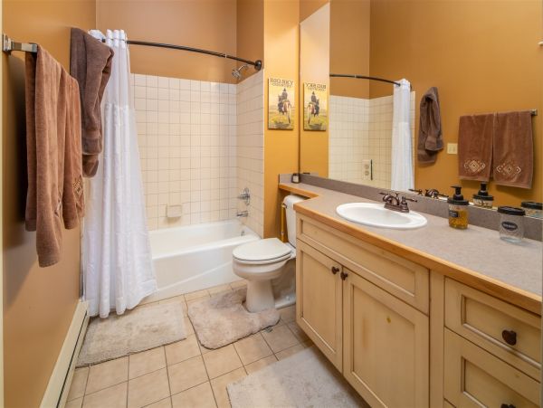 Big Sky Home 1000452