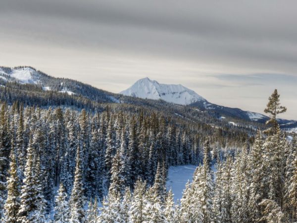 Big Sky Home 1000519