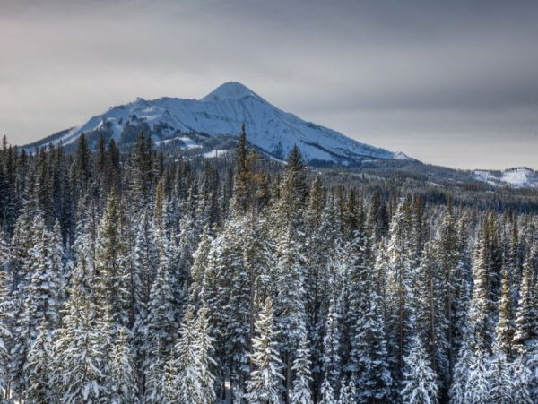 Big Sky Home 1000519