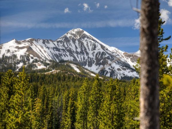 Big Sky Home 1000521
