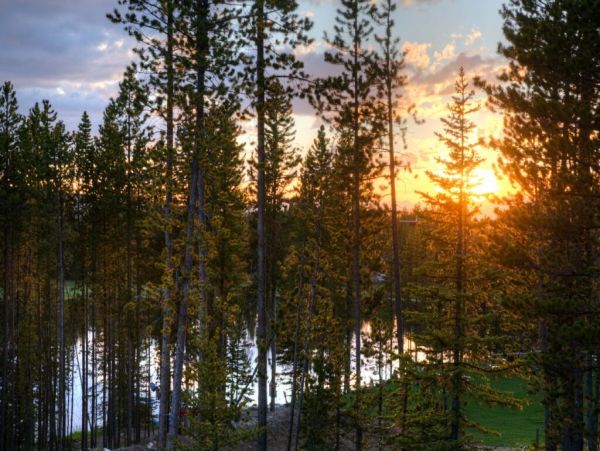 Big Sky Home 1000521