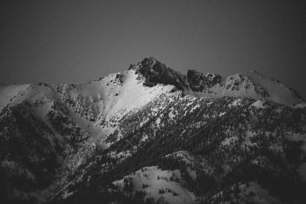 Big Sky Home 1000531