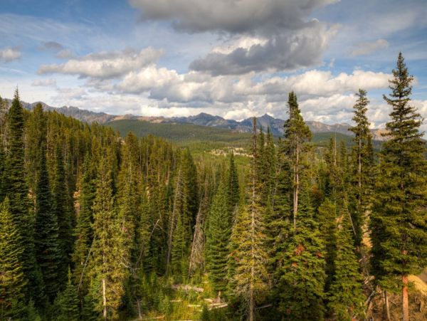 Big Sky Home 1000539