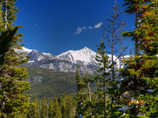 Big Sky Home 1000540