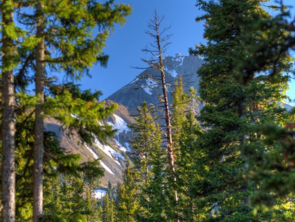 Big Sky Home 1000553