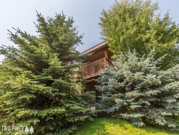Big Sky Home 1000583