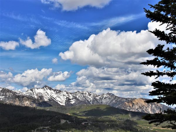 Big Sky Home 1000586