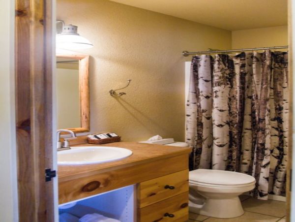 Big Sky Home 1000586