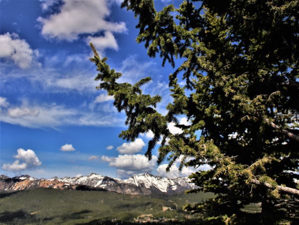 Big Sky Home 1000586