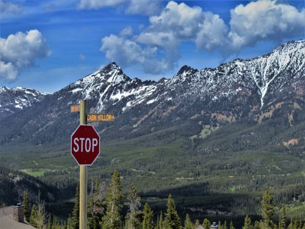 Big Sky Home 1000586