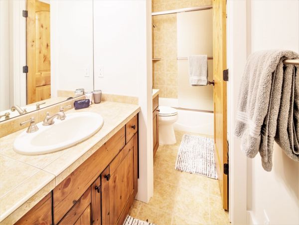 Big Sky Home 1000596