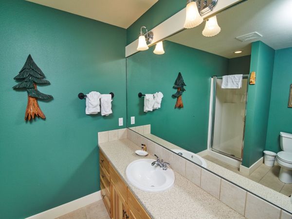 Big Sky Home 1000598