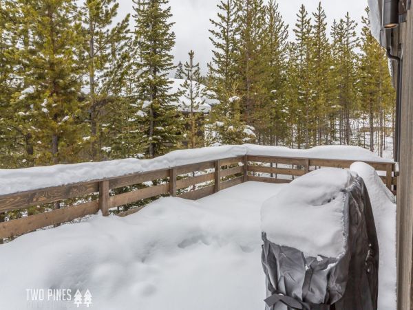 Big Sky Home 1000616
