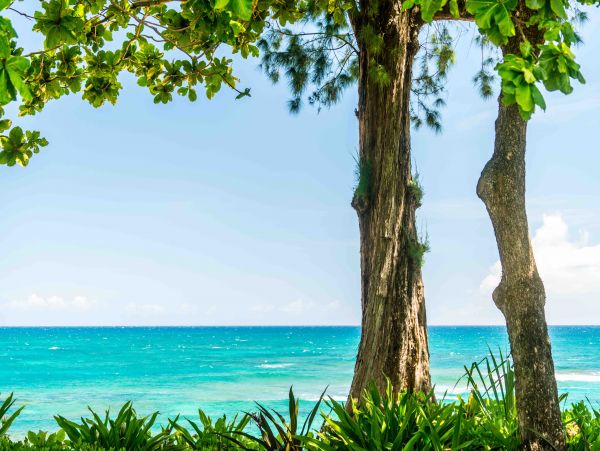 Beachfront Stunning Vacation Home in Kapaa Ocean Views
