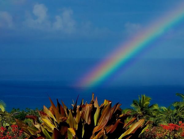 Kailua Kona Home 1000656
