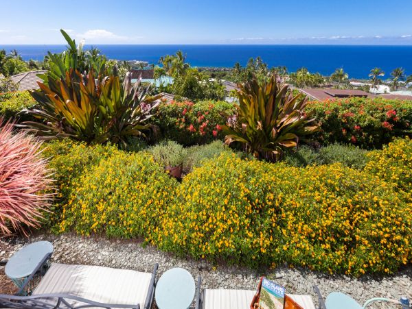 Kailua Kona Home 1000656