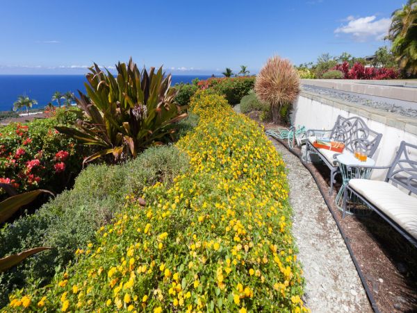 Kailua Kona Home 1000656