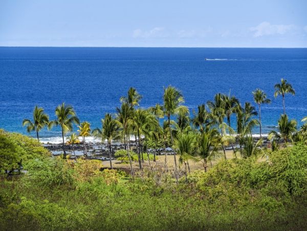 Kailua Kona Home 1000662