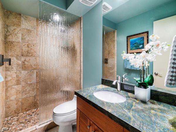 Kailua Kona Home 1000666