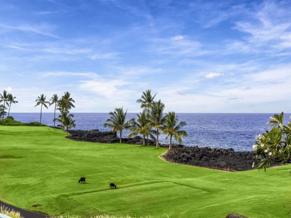 Kailua Kona Home 1000673