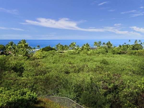 Kailua Kona Home 1000684