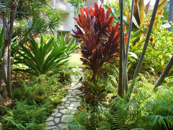 Kailua Kona Home 1000693