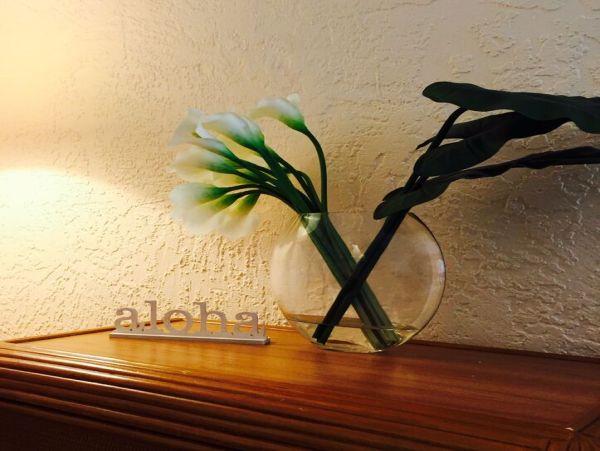 Kailua Kona Home 1000693