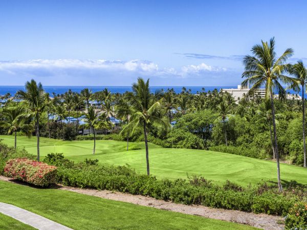 Kailua Kona Home 1000696