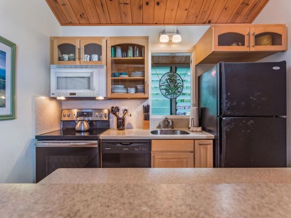 Kailua Kona Home 1000698