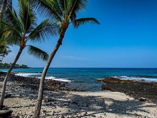 Lovely 2 Bedroom Vacation Condo