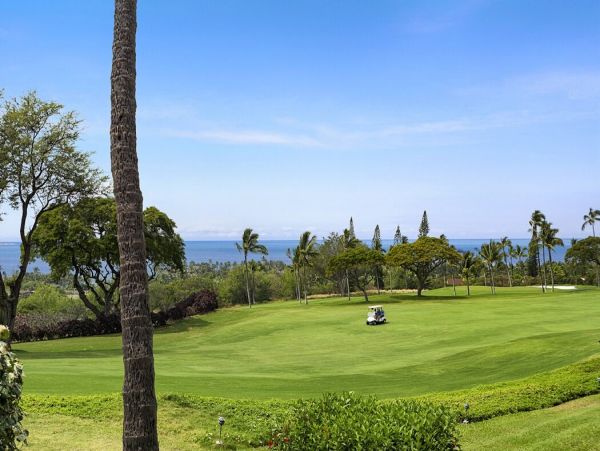 Kailua Kona Home 1000707