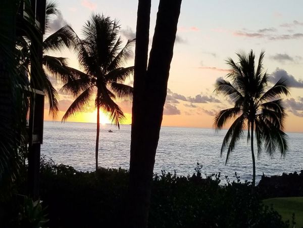 Kailua Kona Home 1000714