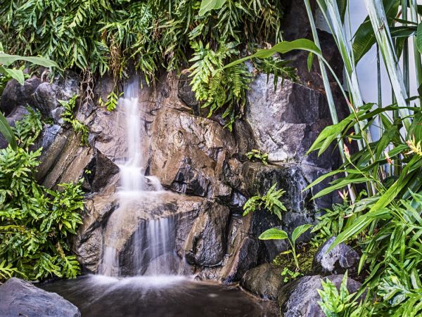 Kailua Kona Home 1000728