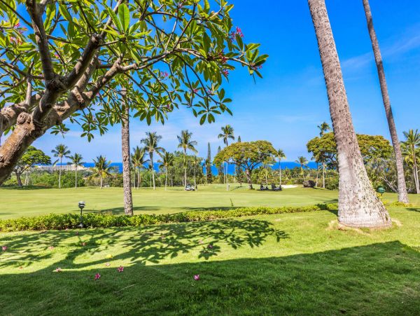 Kailua Kona Home 1000734