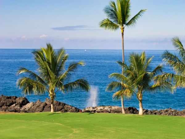 Ocean View 3 bedroom with Pool